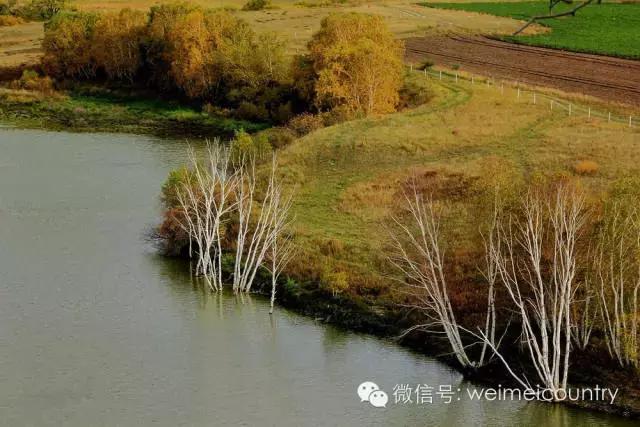 旗沟村民委员会最新动态报道