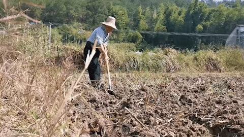 木金乡领导最新概览