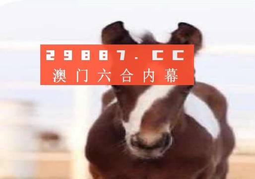 公司介绍 第77页