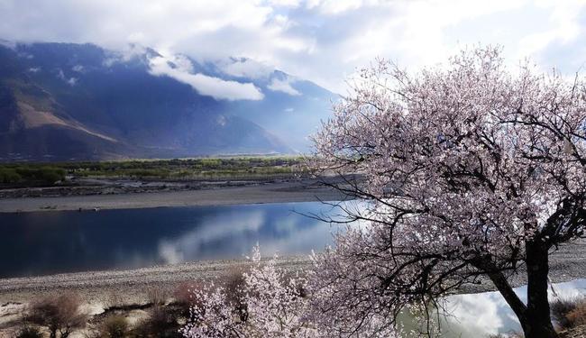 林芝地区市规划管理局最新招聘概览